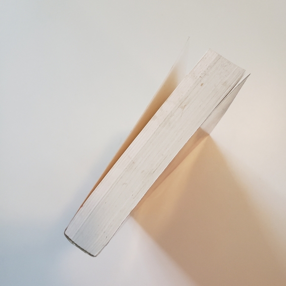 On the Integration of Nature Post 9-11 Biopolitical Notes Richard Grossinger - Picture 5 of 16